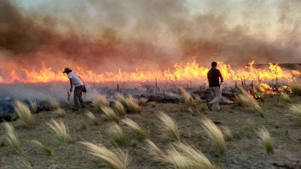 El gobernador declaró el estado de emergencia o desastre agropecuario en varios puntos de la provincia de La Pampa