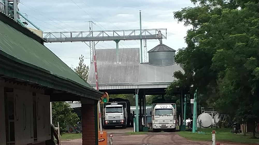 Más operativos de control en cerealeras