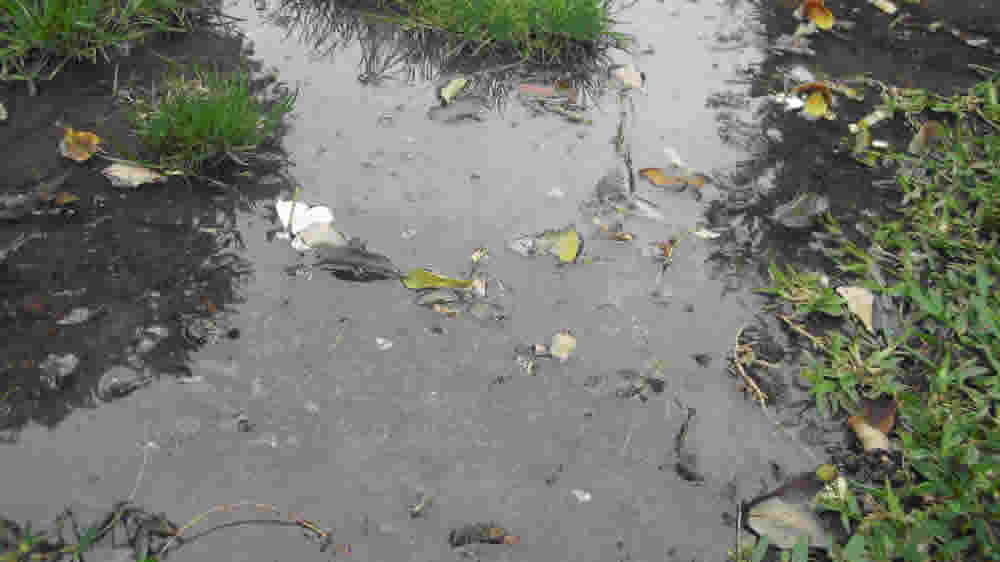 Gestionar el agua para enfrentar la variabilidad climática