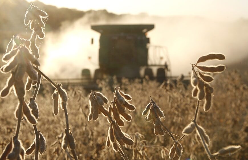 Agroindustria estimó una caída del 6,9 por ciento en el área de soja