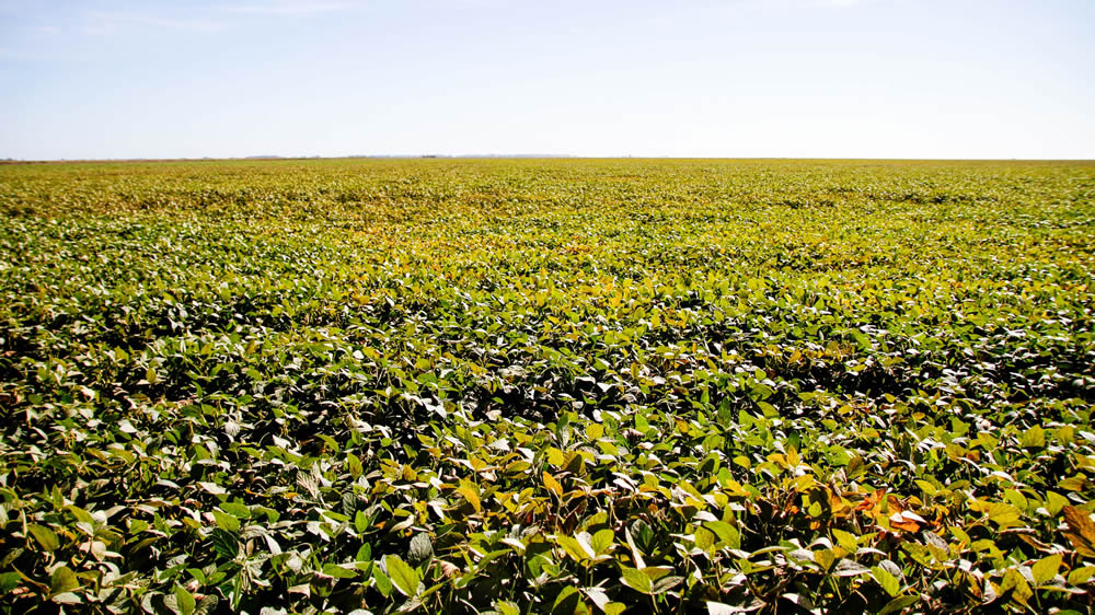 Agroindustria participó de Fertilizer Latinoamericano 2018