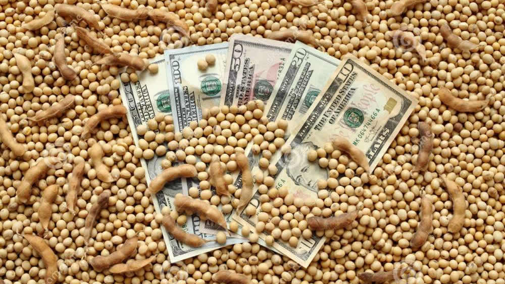 Más presión para el dólar: la liquidación de divisas del agro, de las peores en una década