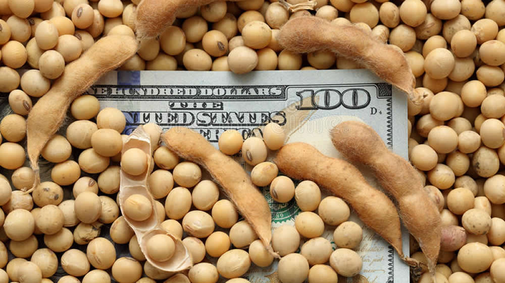 Metas de inflación, dólar y Lebacs: cómo impactan en el precio de los granos