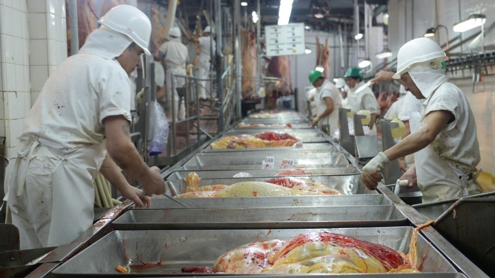 Uruguay ahorraría US$ 90 millones en aranceles en carne tras acuerdo con UE