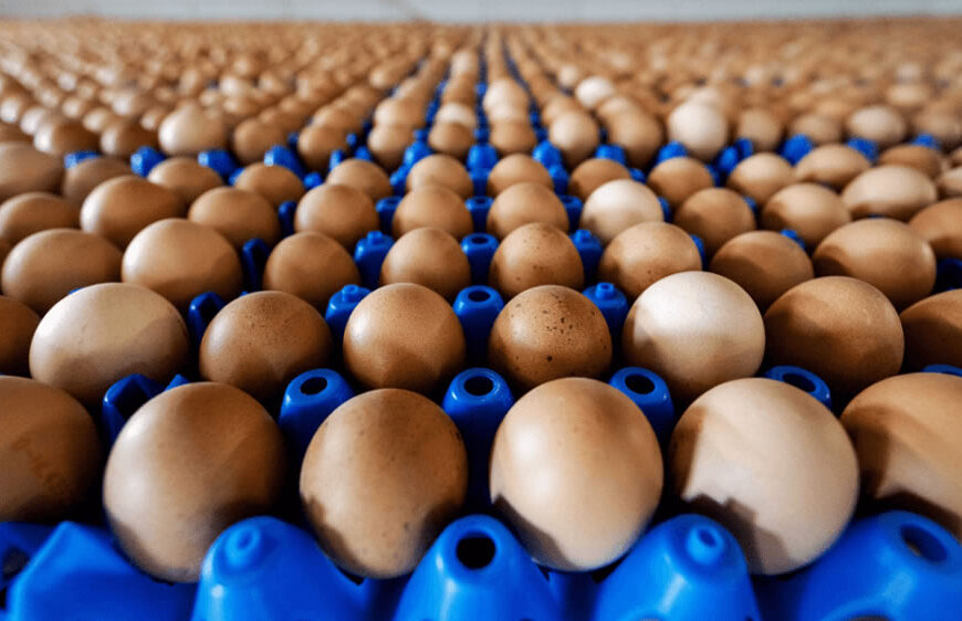 Por qué la docena de huevos registró aumentos de hasta 100% durante la cuarentena