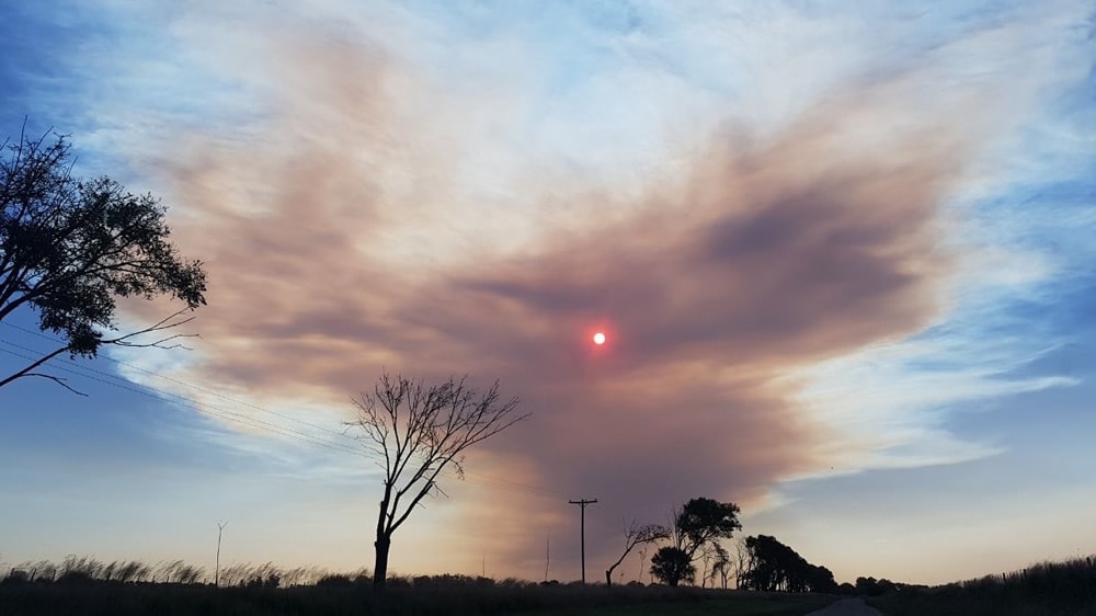 Se incendió un campo de Luan Toro