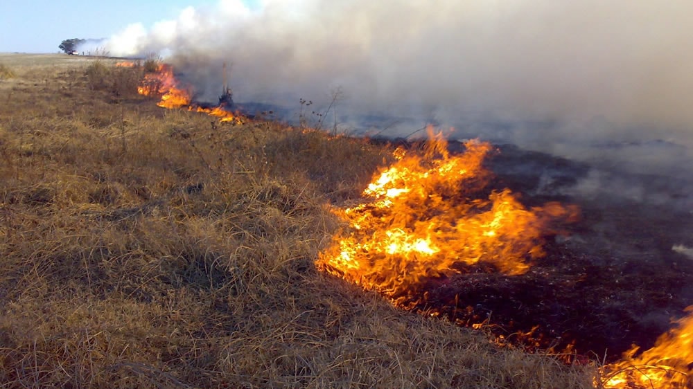 Incendios en La Pampa: 300 mil hectáreas esperan homologación nacional de la Emergencia Agropecuaria