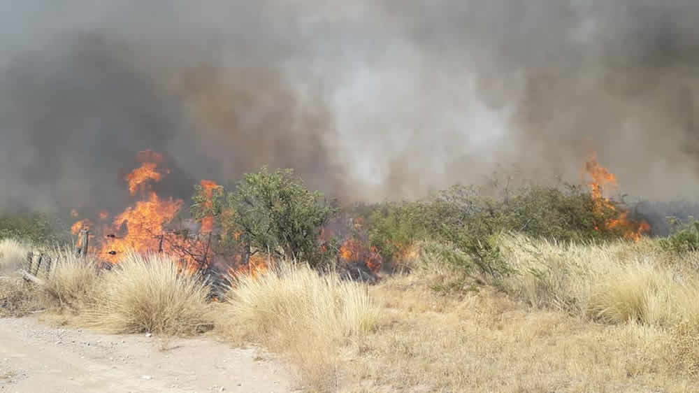 En la zona de Puelches y Lihuel Calel, se quemaron 85.500 hectáreas