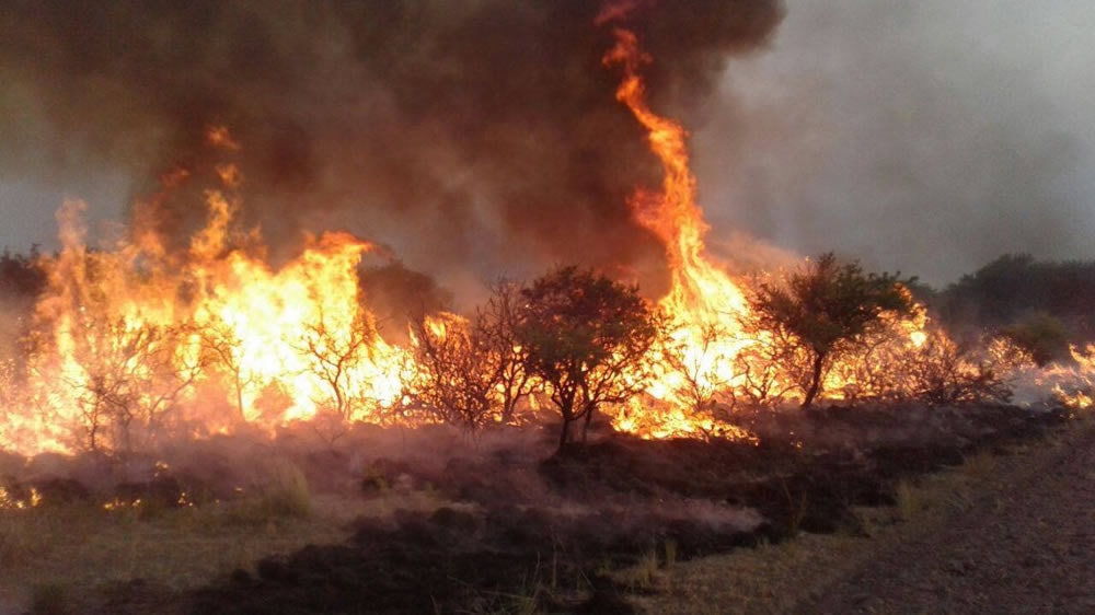 Incendio en La Pampa