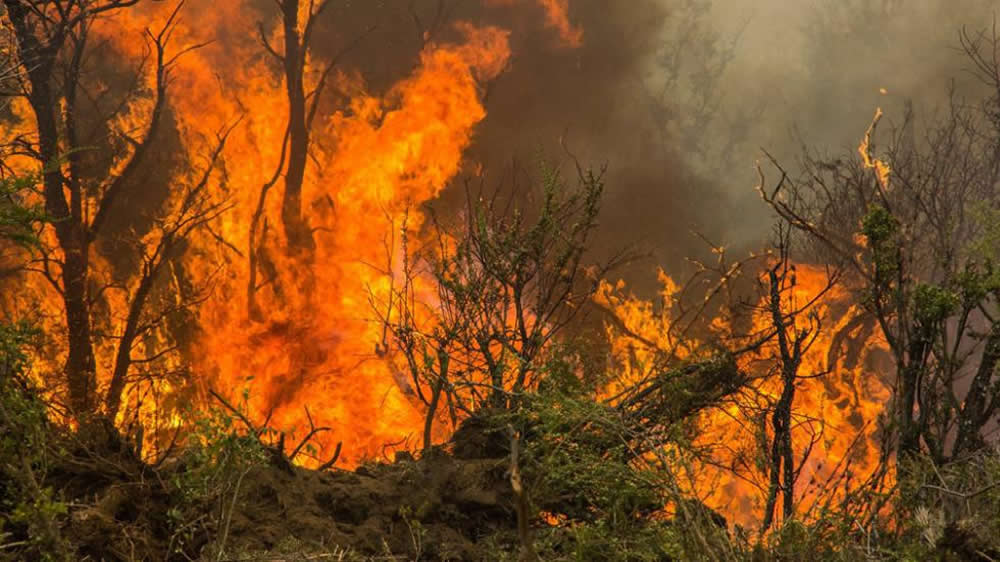 Incendios en La Pampa