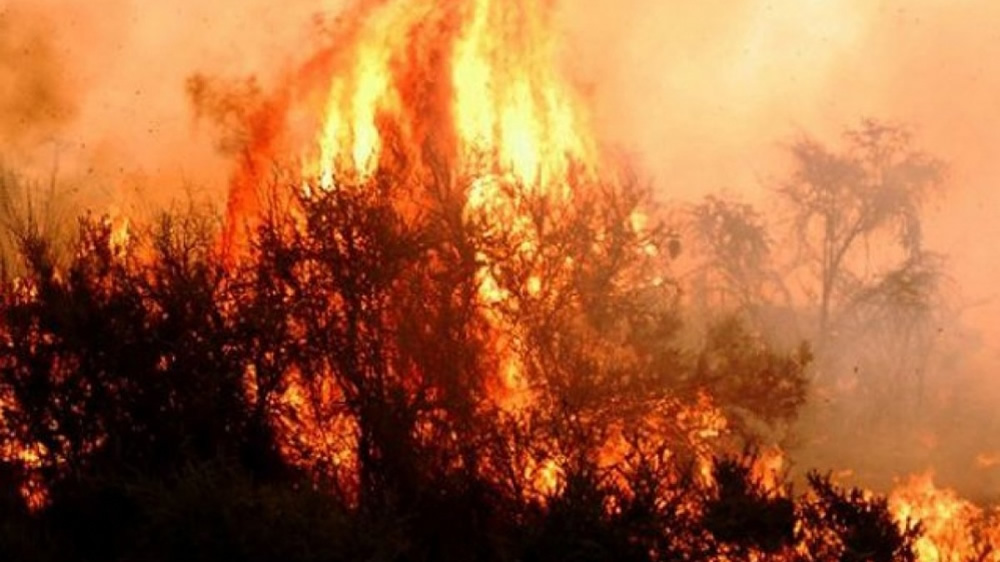 El fuego avanza en las sierras de Lihué Calel: ya se consumieron 7.000 hectáreas