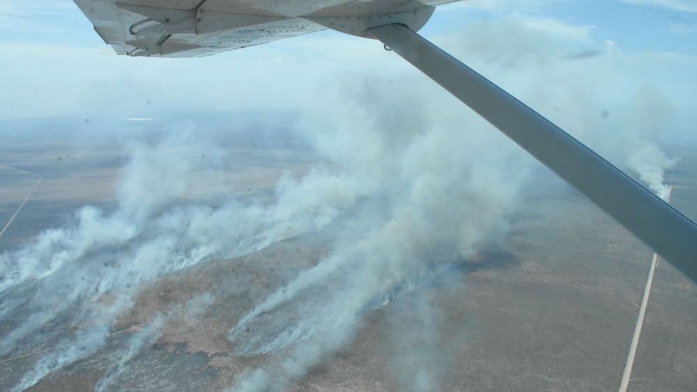 El fuego arrasó el Parque Lihué Calel