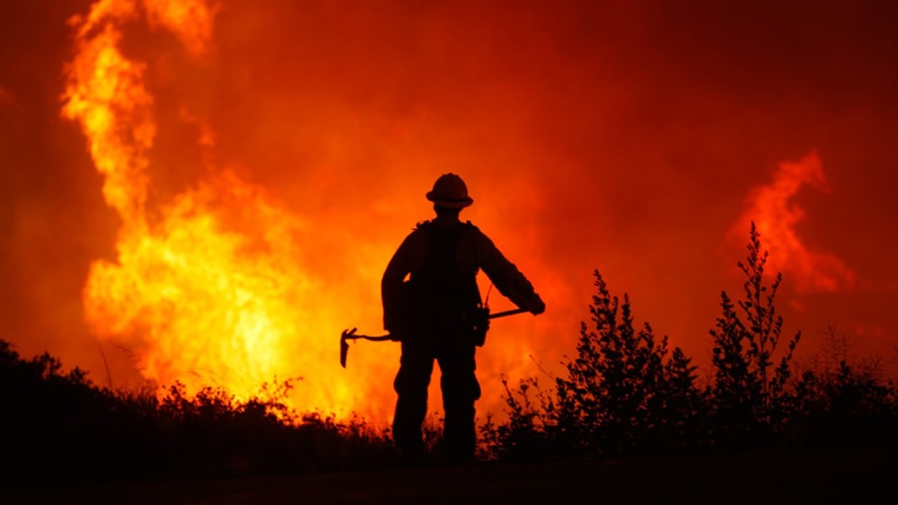 Estiman que los incendios de campos de La Pampa afectarían a 55.000 hectáreas