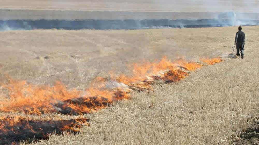 Cómo reforzar la prevención para evitar incendios