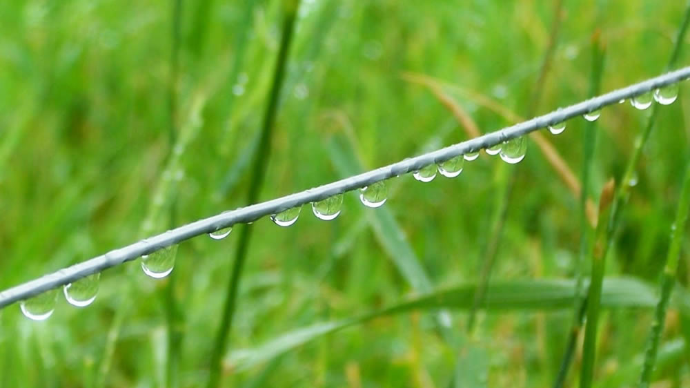 Por qué no llueve si la humedad en capas bajas está disponible