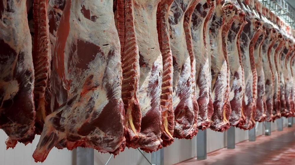 Prevén que el negocio de las carnes genere 250.000 nuevos empleos y US$10.000 millones en exportaciones