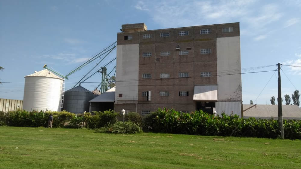 Los molinos piden subir el precio de la harina por no poder cubrir los costos de producción