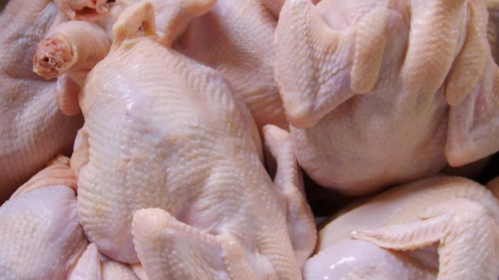 Apertura del mercado uruguayo para exportaciones de pollos