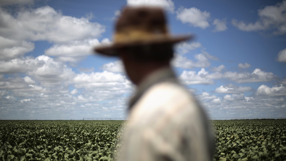 Anuncian créditos para productores ganaderos con tasa del 9,5%