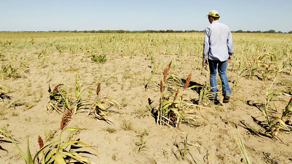 La Pampa : De la inundación a la sequía