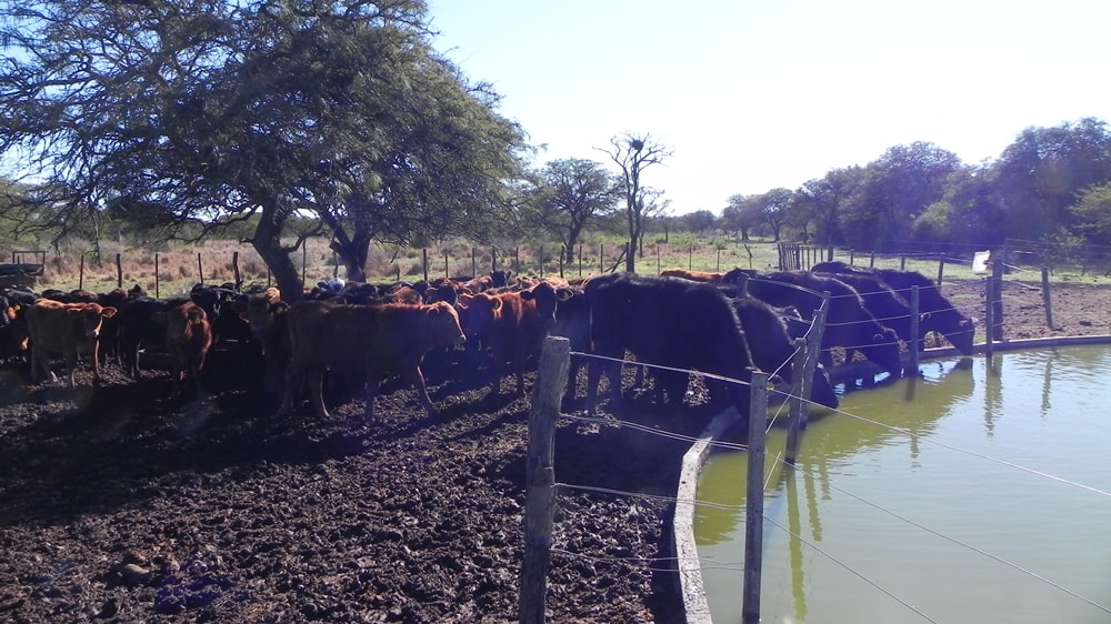 El mantenimiento de aguadas, clave en tiempos de seca