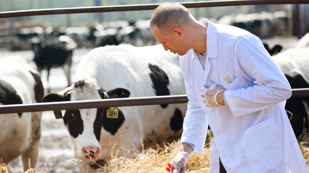 Lo que el SENASA no dice del nuevo registro de veterinarios y técnicos