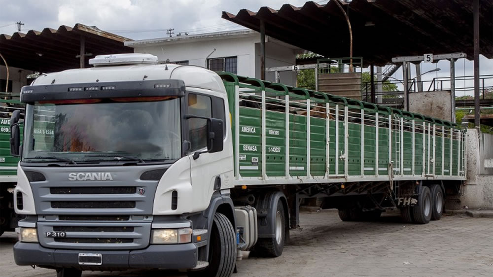 Lanzan el programa de Transporte Inteligente que permitirá ahorrar un 30% de los costos