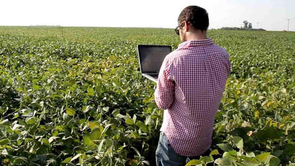 Búsquedas de Google: «El agro mostró una tendencia creciente»