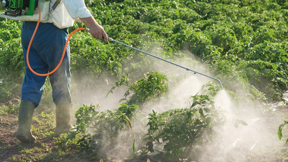 Renuevan registros de expendedores de agroquímicos y empresas aplicadoras