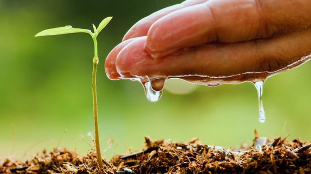 Usos del agua oxigenada en la agricultura