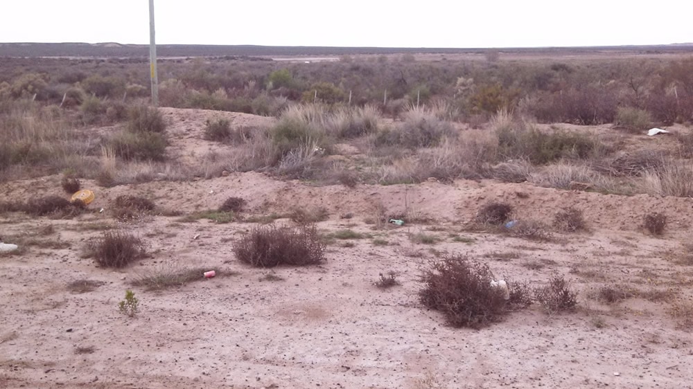Campo seco en 25 de mayo, La Pampa
