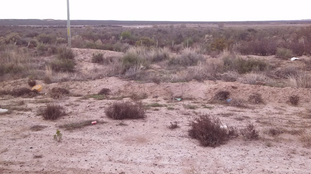 Sequía: La Rural de 25 de Mayo reclamó «cambios urgentes» en la Ley de Emergencia Agropecuaria