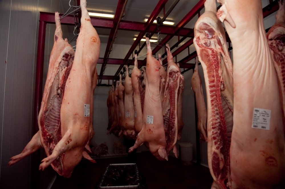 Se estima que china perderá unos 16 millones de toneladas de carne por la PPA