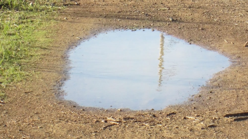 Los pronósticos a corto plazo tampoco prevén lluvias que traigan alivios