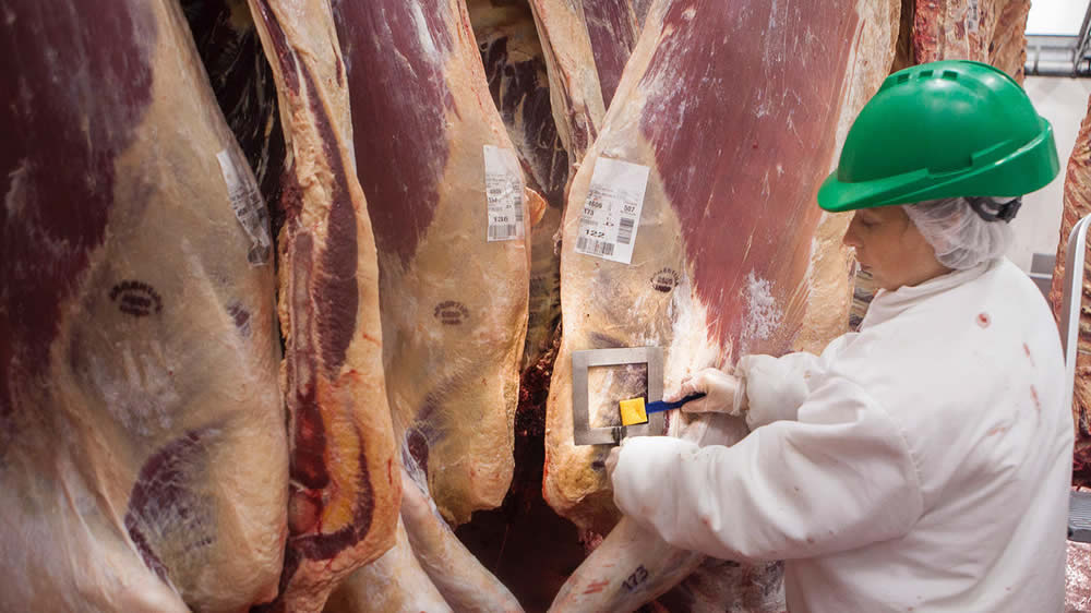 Argentina, el país que más crece en el mundial de los exportadores de carne