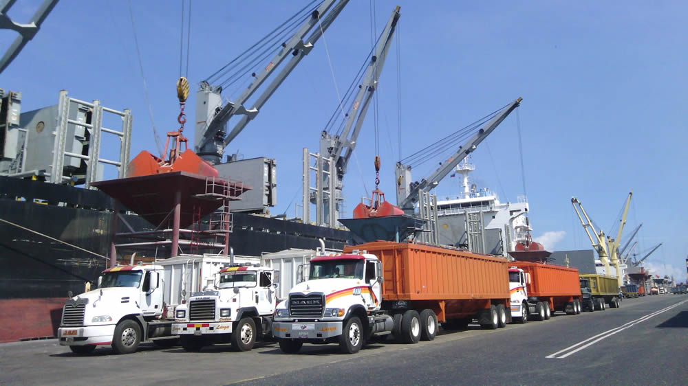 Camiones con trigo en el puerto