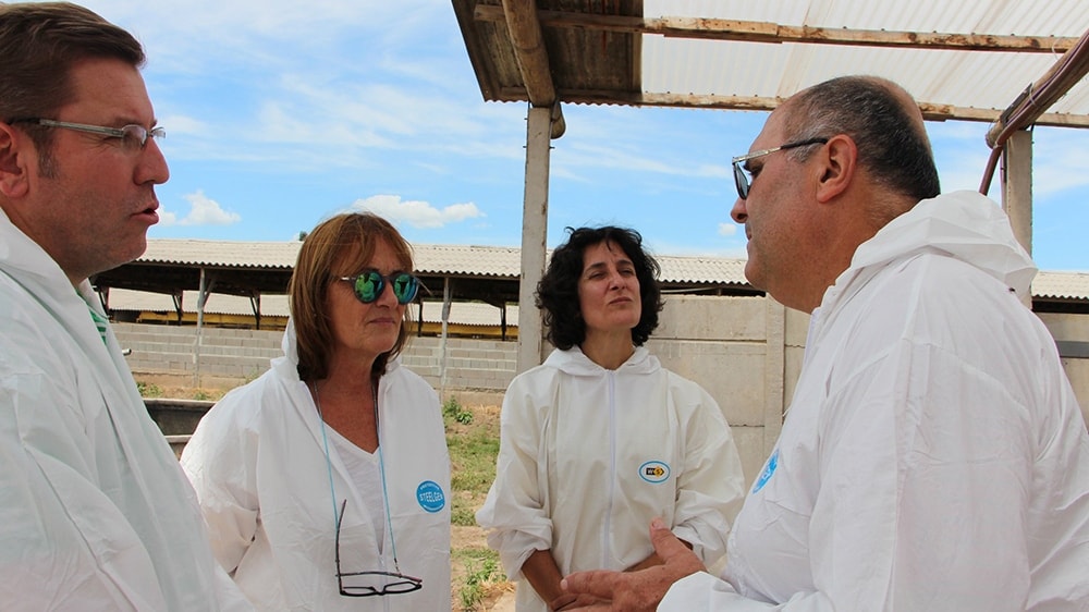 El establecimiento santafesino que obtiene compost a partir de efluentes porcinos