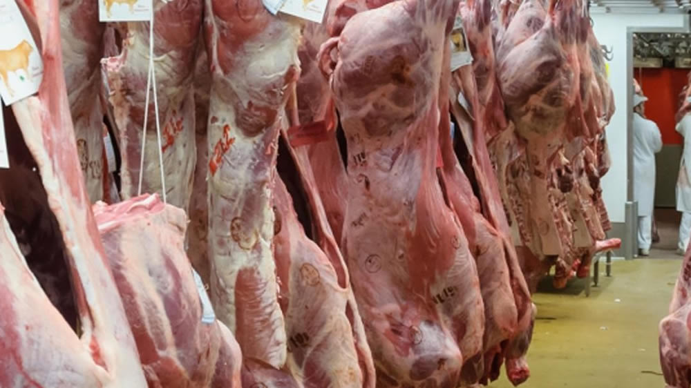 Llaman a aumentar la producción y exportación de carne durante 2020