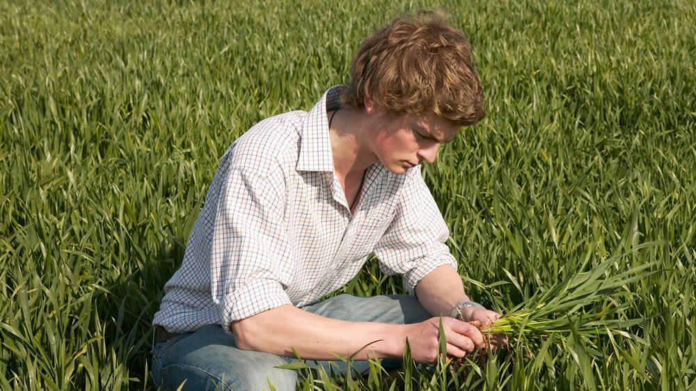 Más de 240 carreras ligadas a la agroindustria son consideradas estratégicas para el país