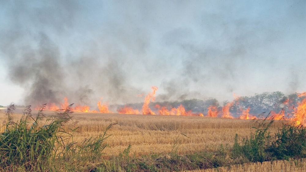 Afirman que ningún funcionario de La Pampa pidió plata para emergencia agropecuaria