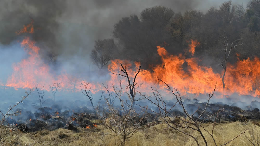 Los incendios no dan tregua en La Pampa