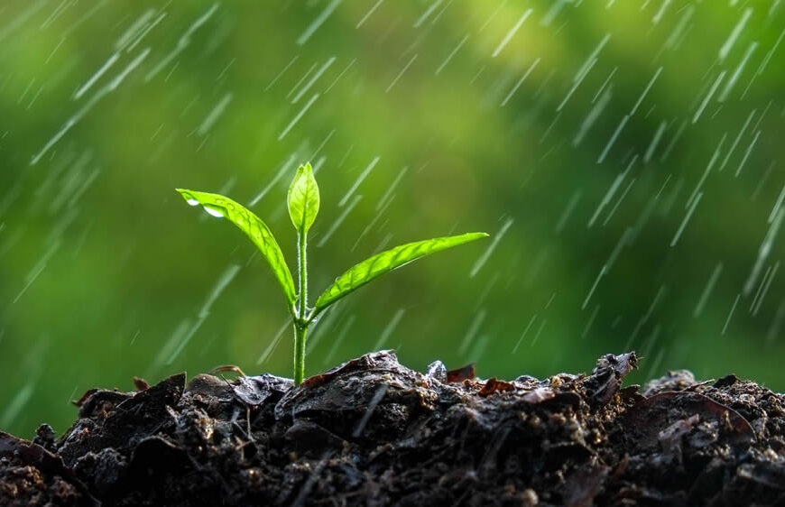 Lluvias: anticipan un período muy activo a partir del jueves