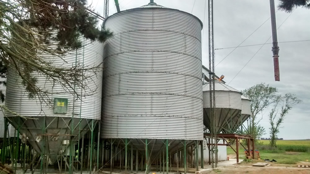 «Cajas negras»: después de los frigoríficos, el Gobierno va por los molinos