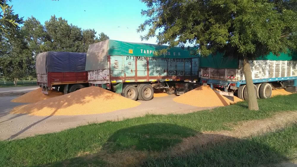 Paro de transportistas de granos