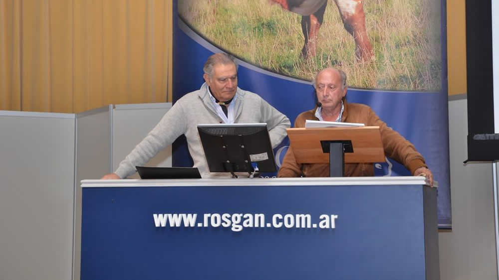 Rosgan pone a la venta 14.000 cabezas en dos remates