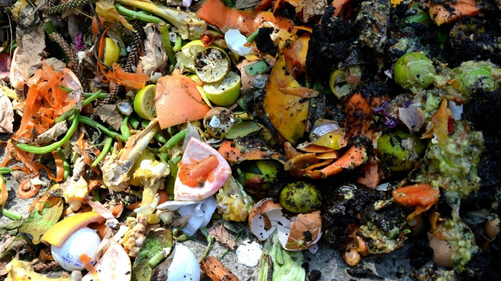 El 42 % de los residuos pueden transformarse en abono para huertas