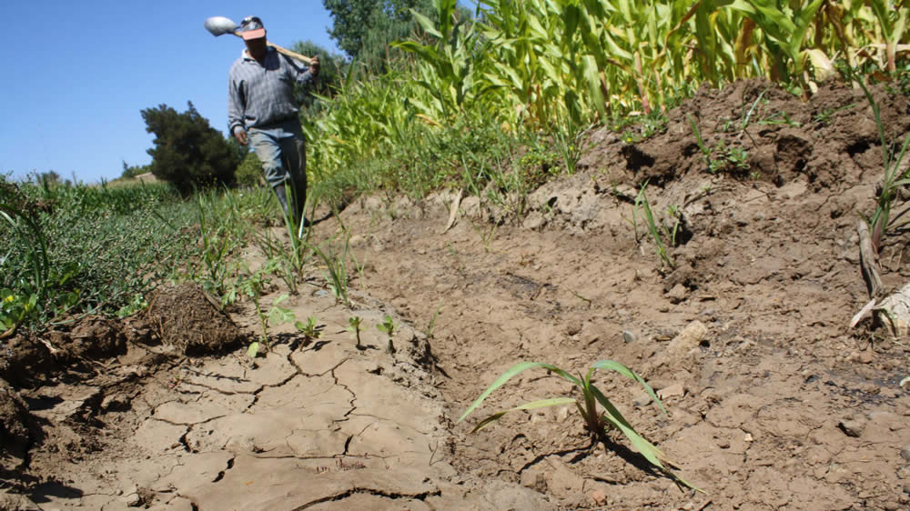 Para Confederaciones Rurales Argentinas las pérdidas por la sequía alcanzan a us$ 4.350 millones