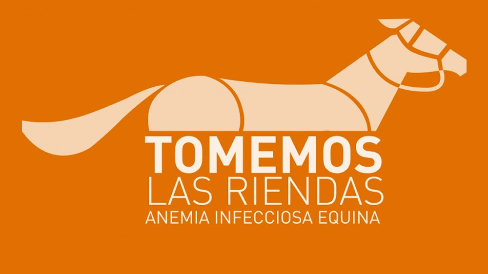 Equinos: recomendaciones para prevenir enfermedades transmitidas por vectores