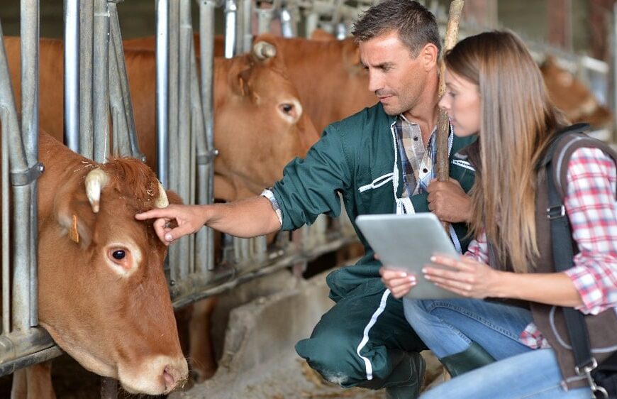 Veterinarios y técnicos acreditados