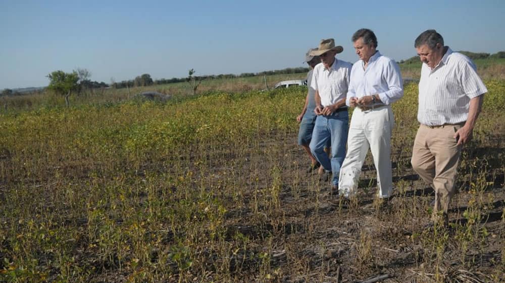 Entre Ríos y Salta con Emergencia Agropecuaria